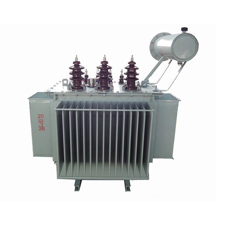 Trafo Listrik Rugi Rendah Berisi Minyak 160kva