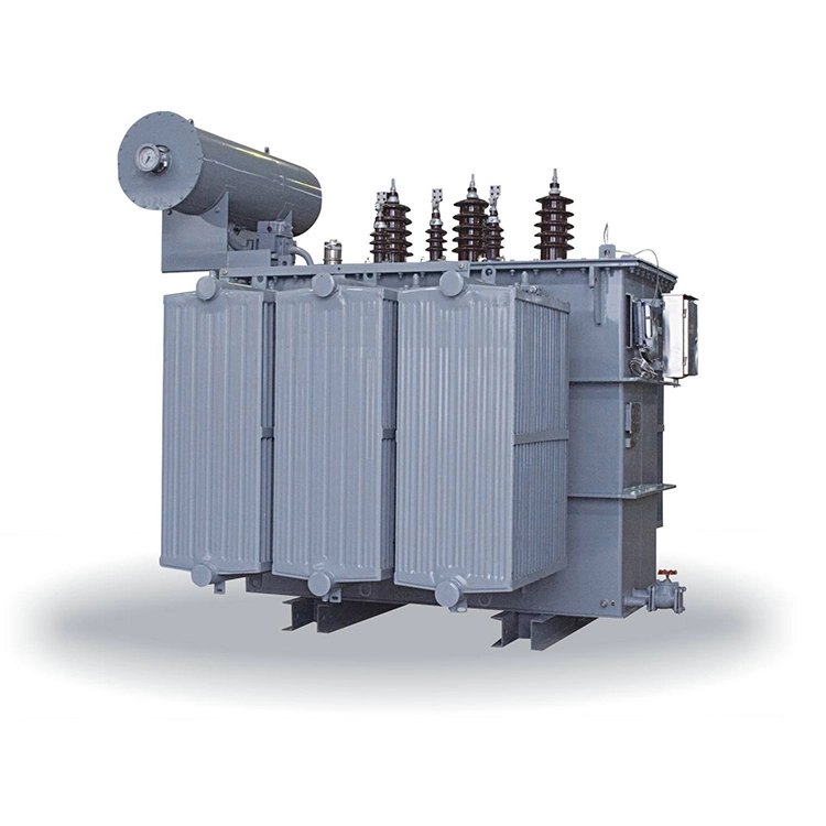 S9 11kv 33kv 50/60hz 5000kva Trafo Terendam Minyak